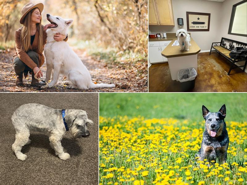 Chisholm Trail Veterinary Clinic of Lockhart