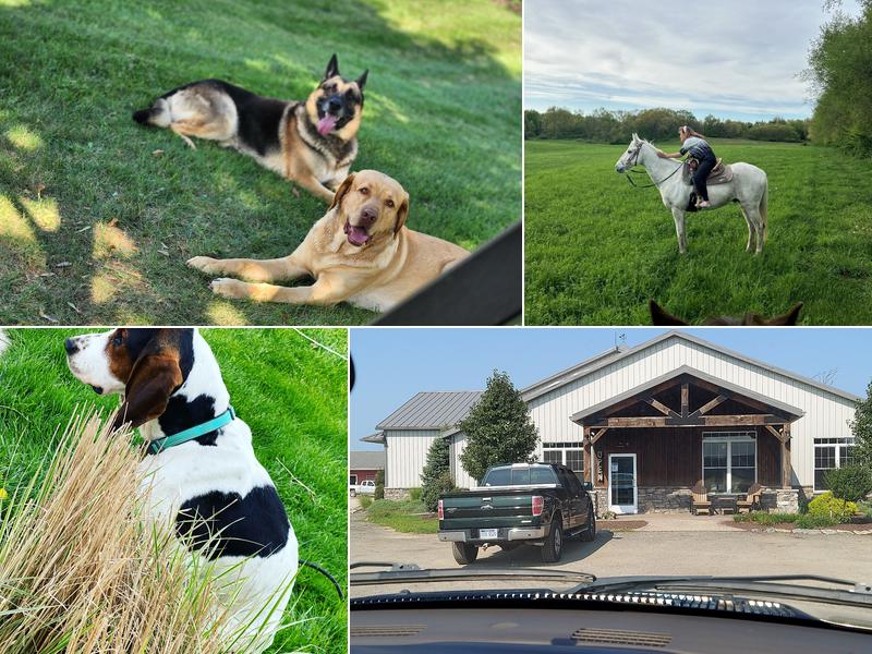 Bronson Veterinary Services