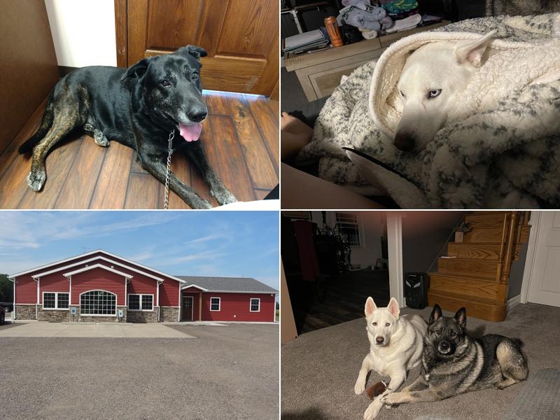 Sheridan Animal Hospital, Inc.