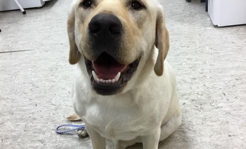 Town & Country Animal Hospital: Mary Sue Painter, DVM Frontenac