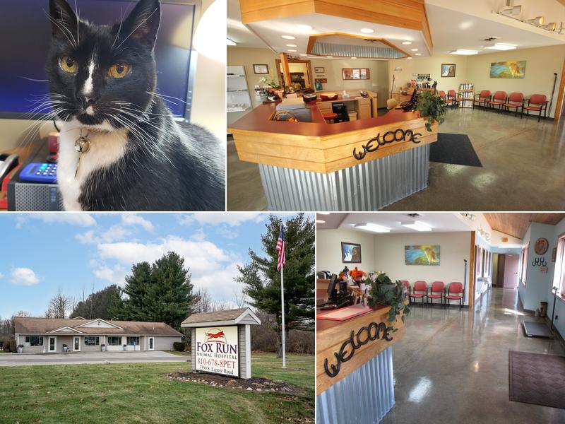 Fox Run Animal Hospital