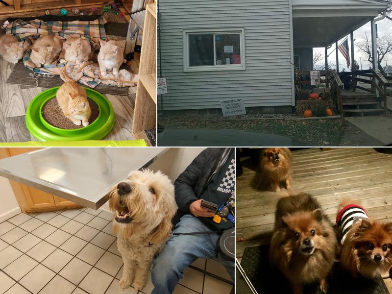 Animal Health Care of North Branch