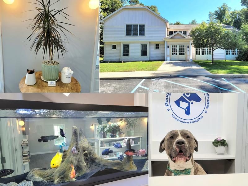 Poughkeepsie Animal Wellness