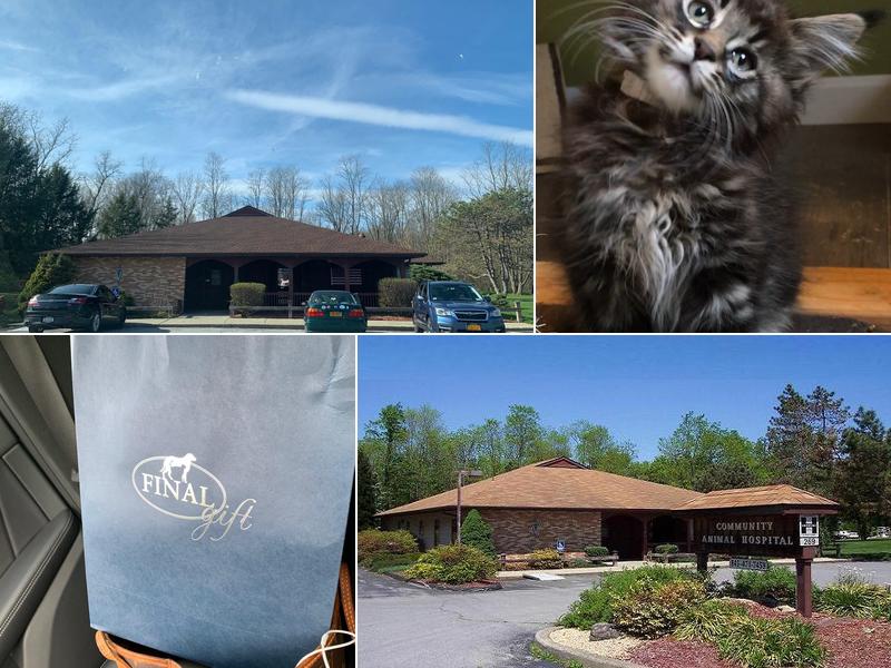 Community Animal Care