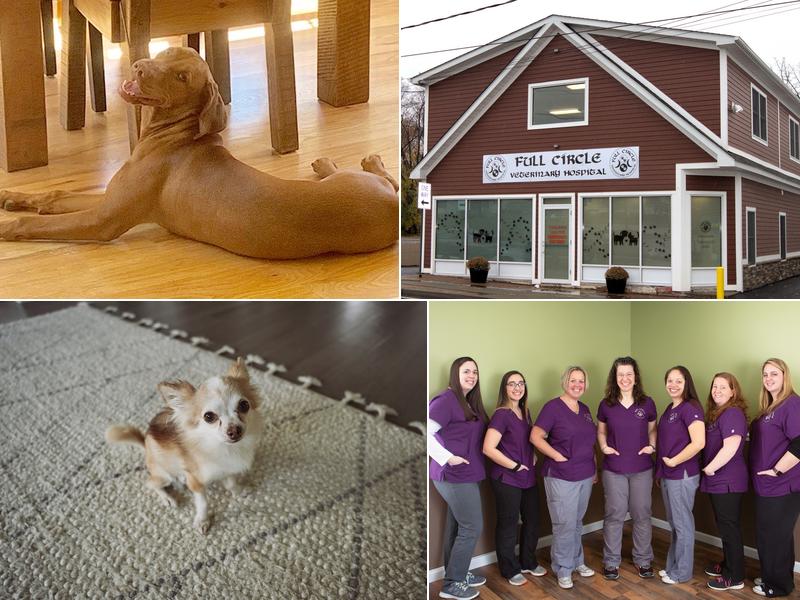 Full Circle Veterinary Hospital