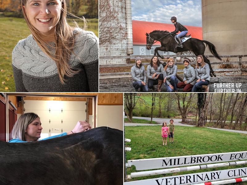 Millbrook Equine Veterinary Clinic, PC