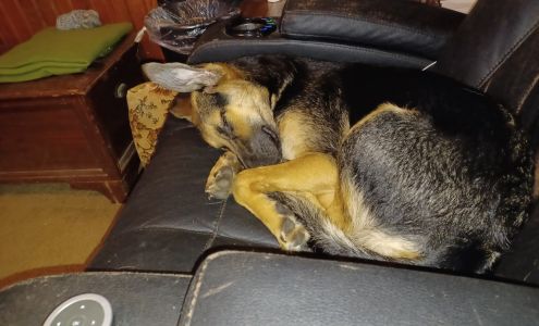 Friends of the Animals of Cedar Creek Lake