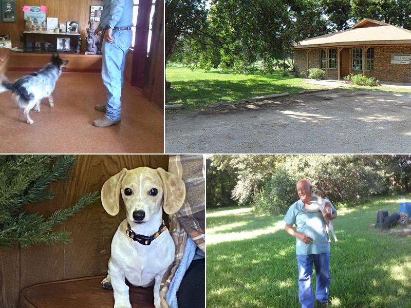 Cedar Creek Veterinary Clinic