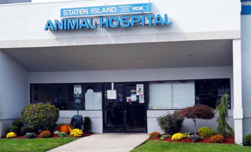 Staten Island Animal Hospital