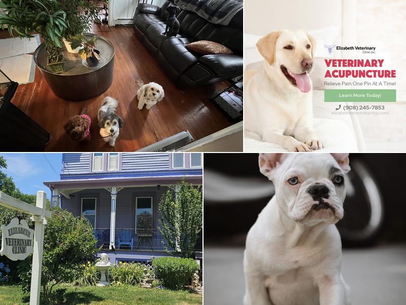 Elizabeth Veterinary Clinic Inc.