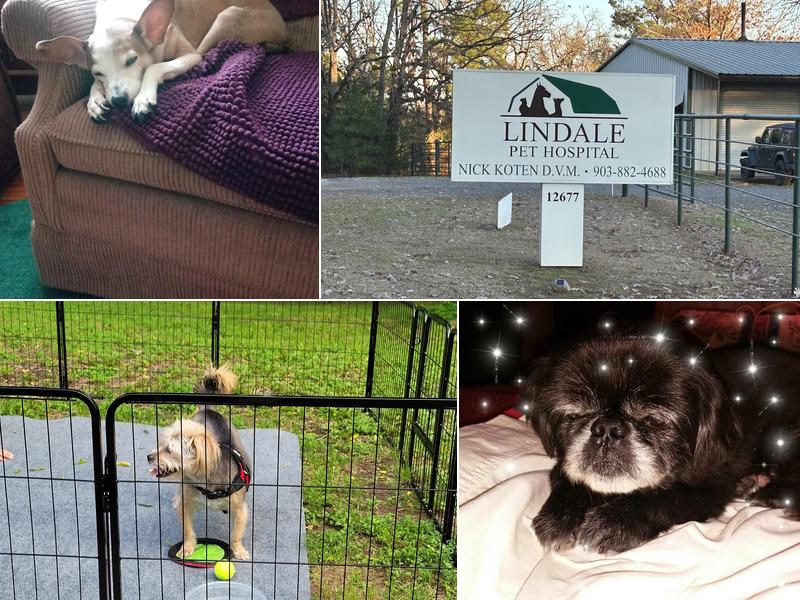 Lindale Pet Hospital, PLLC