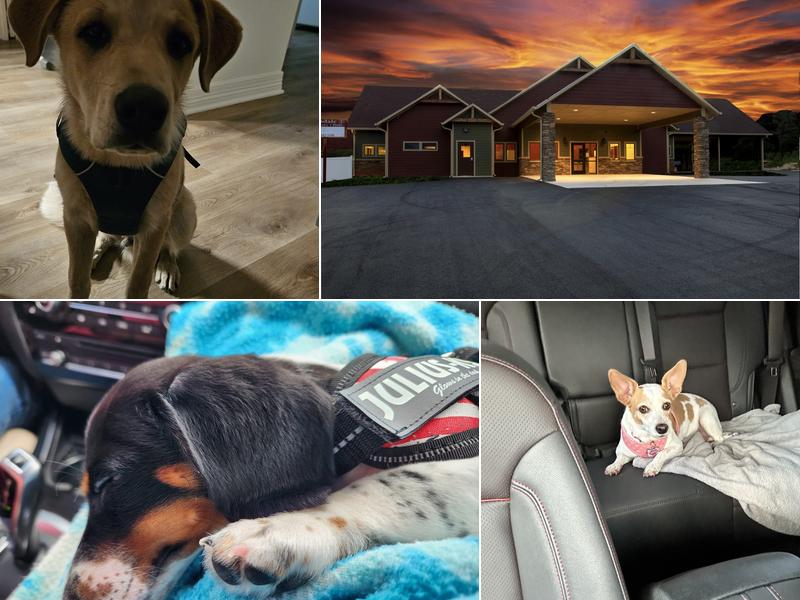 Lindale Veterinary Clinic, LLC