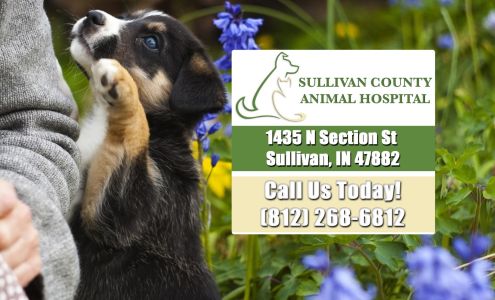 Sullivan County Animal Hospital Sullivan