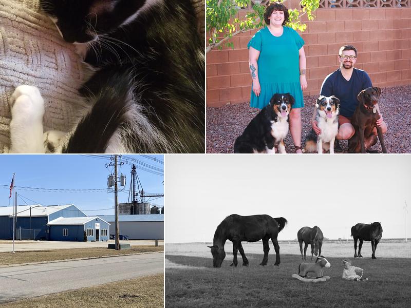 New Hampton Veterinary Clinic