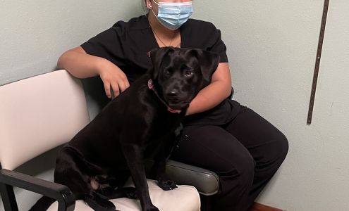 Hampton Veterinary Center