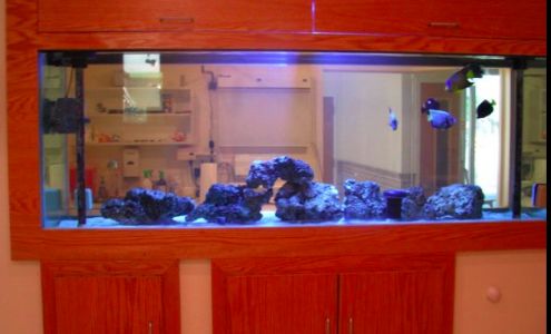 Elmhurst Animal Emergency Hospital