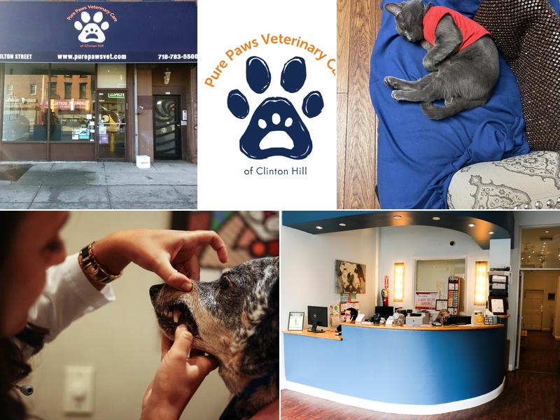 Pure Paws Veterinary Care of Clinton Hill