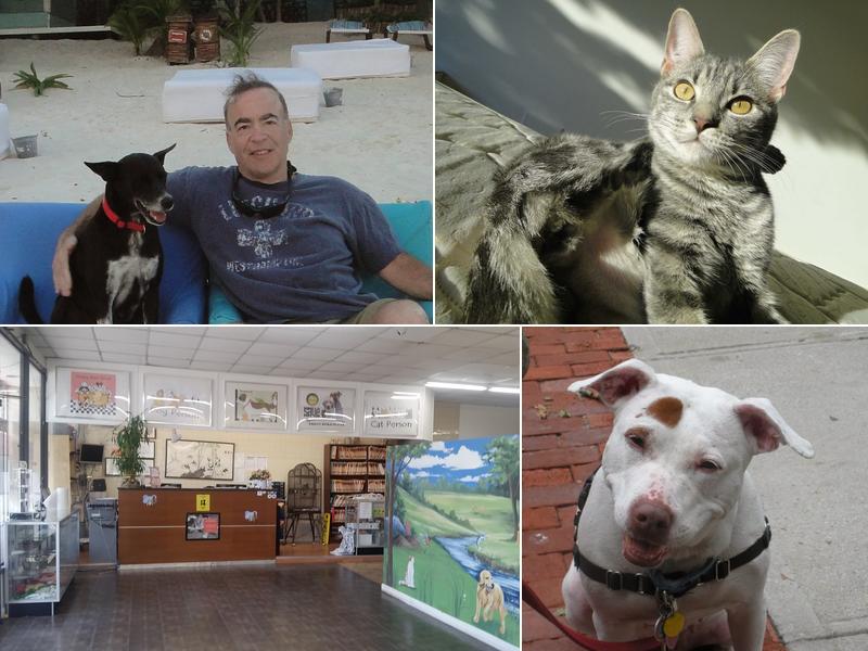 Animal Holistic Care, Dr Mark Haimann