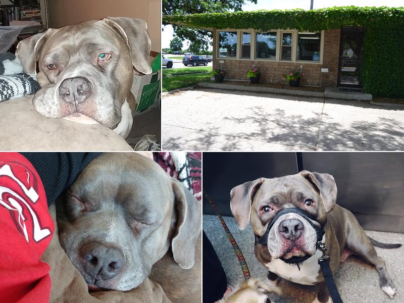 Albert Lea Veterinary Clinic