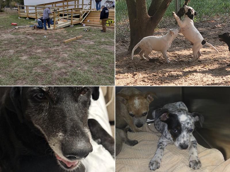 Wright's Veterinary Clinic