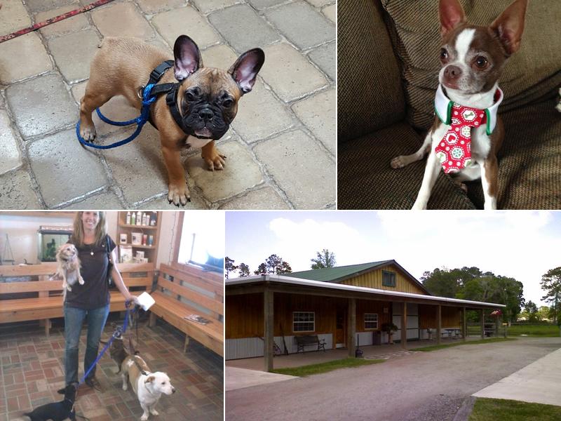 Tri-County Veterinarians