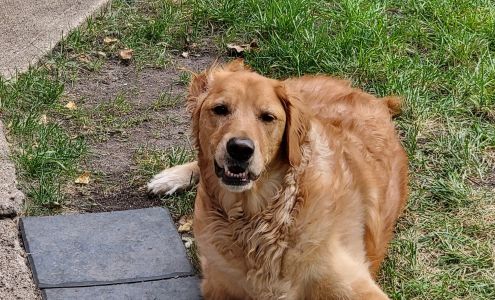 Holmes Animal Clinic Algona