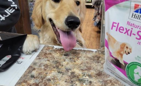 Animal Health Center of Centerville Centerville