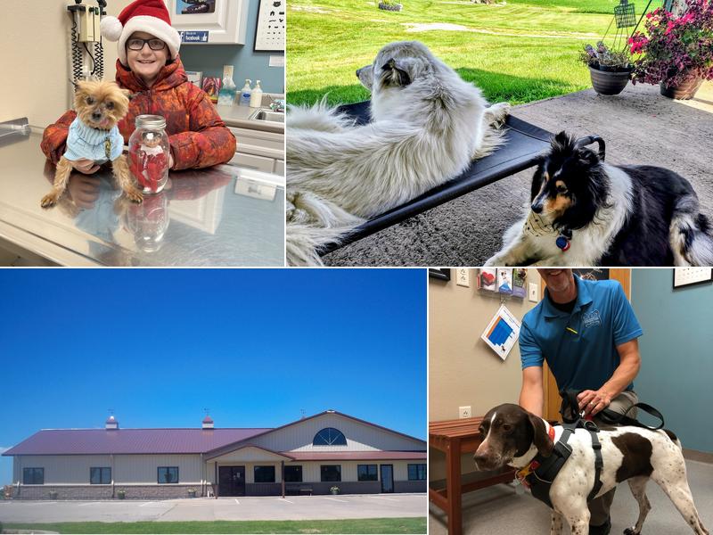 Grinnell Veterinary Clinic, LLP