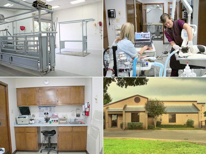 Chaparral Veterinary Center, P.C.