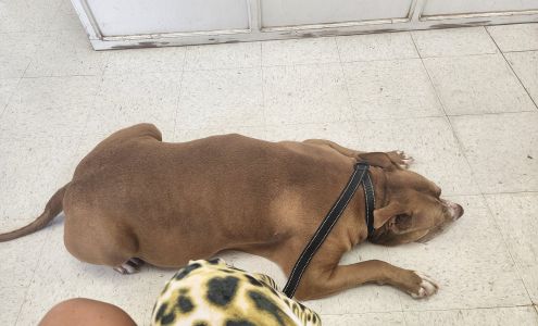 Carson County Veterinary Clinic 1329 US-60, Panhandle Texas 79068