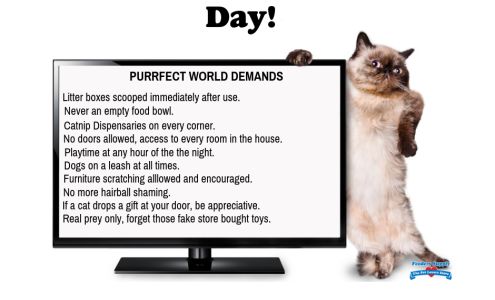 Nibe Kelli DVM Oskaloosa