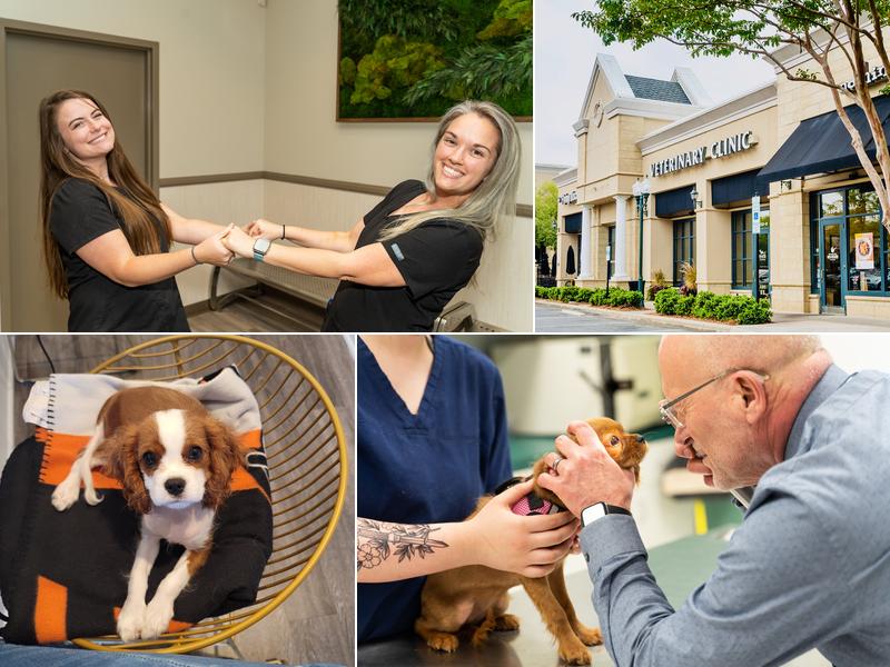 Mixed Pet Veterinary Hospital