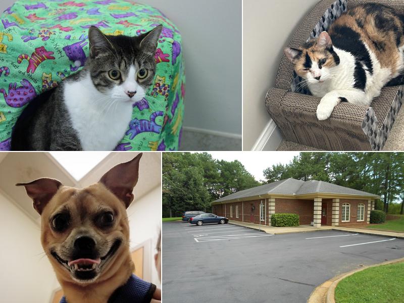 Cary Veterinary Hospital