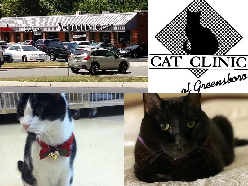 Cat Clinic of Greensboro: Silvers Mark DVM
