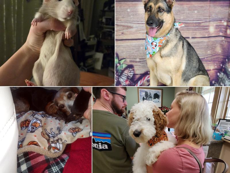 Stoney Creek Veterinary Hospital