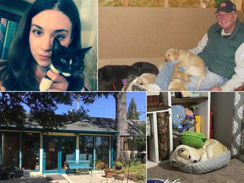 Deep River Veterinary Hospital