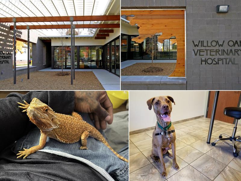 Willow Oak Veterinary Hospital - Mark Cagle DVM
