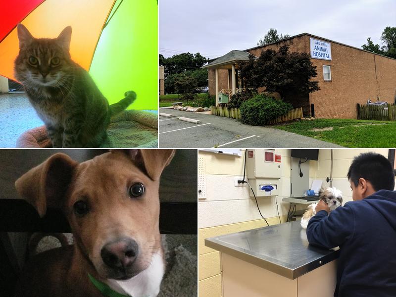 Ard-Vista Animal Hospital: Gessner Matthew DVM