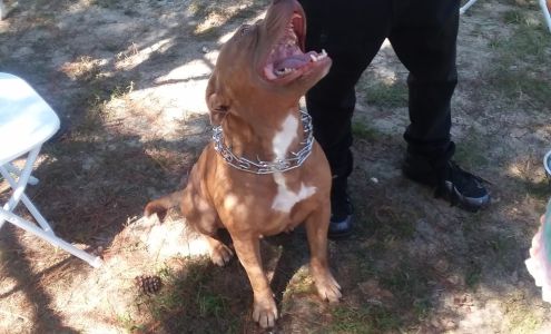 Big Fix Fayetteville