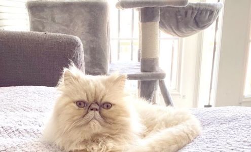 Dogwood Animal Hospital Pa: Jim Williams DVM