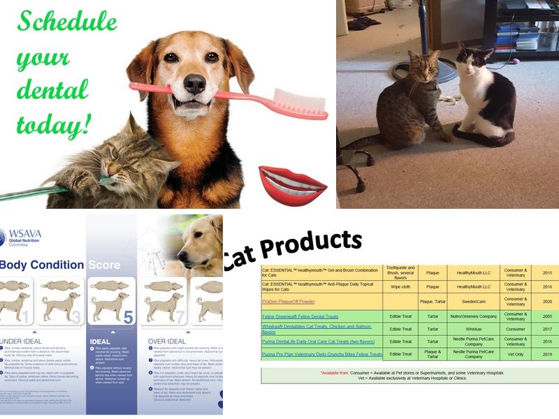 Marcus Remsen Veterinary Clinic