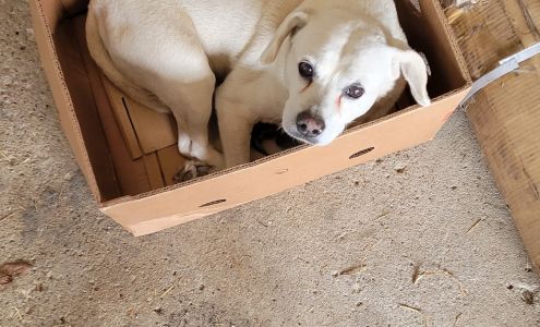 Kahoka Veterinary Clinic Kahoka