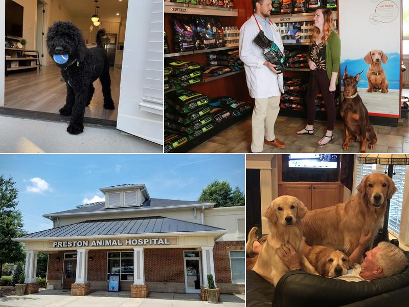 Preston Animal Hospital, A Thrive Pet Healthcare Partner