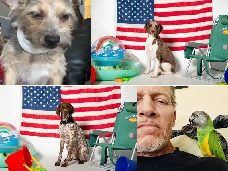 Needham Animal Hospital: Jaffe Steve DVM