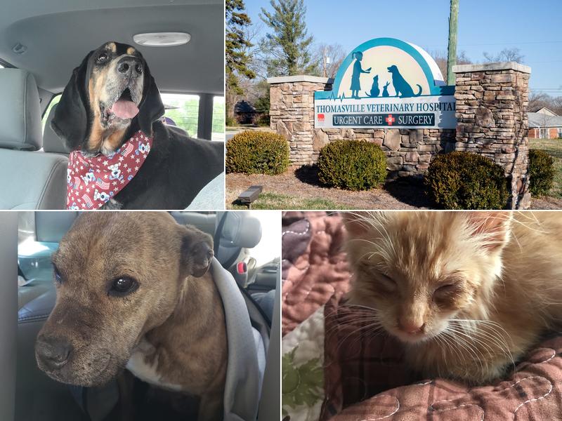 Thomasville Veterinary Hospital