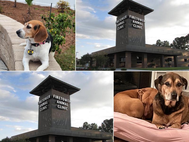 Firetower Animal Clinic