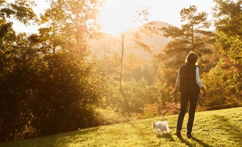 Sunvet Animal Wellness Clinic