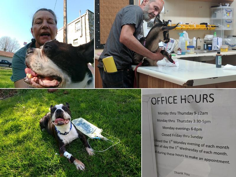 Fox Run Veterinary Services