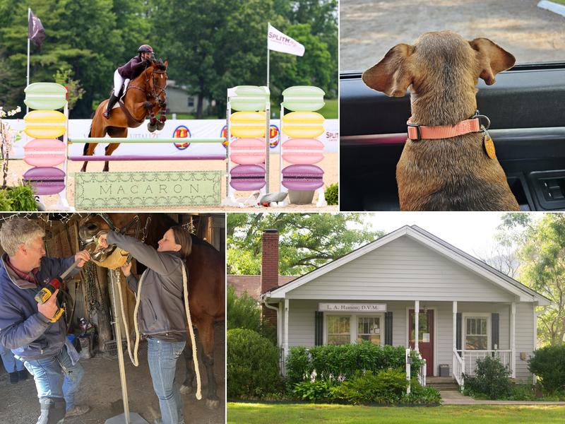 Cane Creek Animal Clinic and Equine