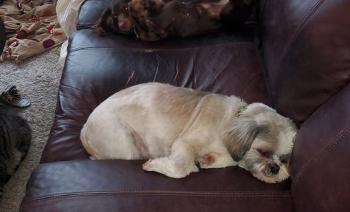 Lake City Veterinary Clinic 1103 W Main St #1, Lake City Iowa 51449